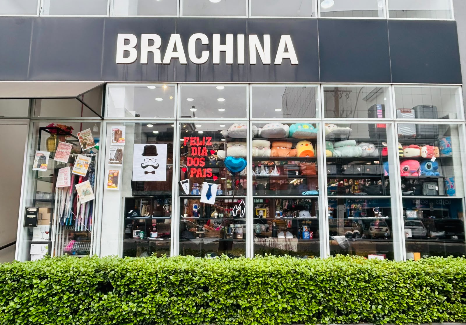 Brachina